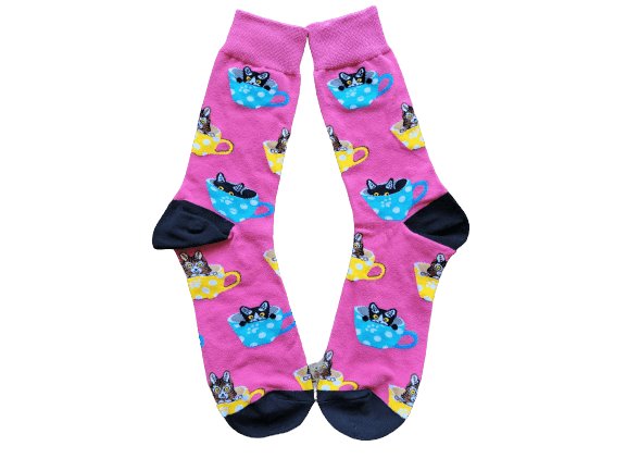 Panda Fundraising Sock Pack