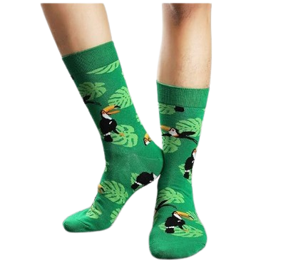 Model wearing green toucan socks