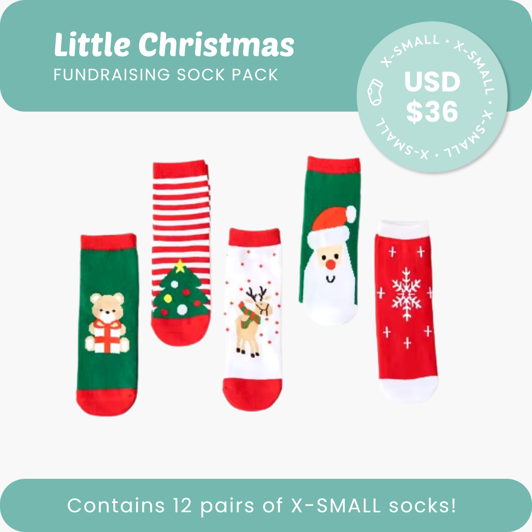 Little Christmas Fundraising Sock Pack