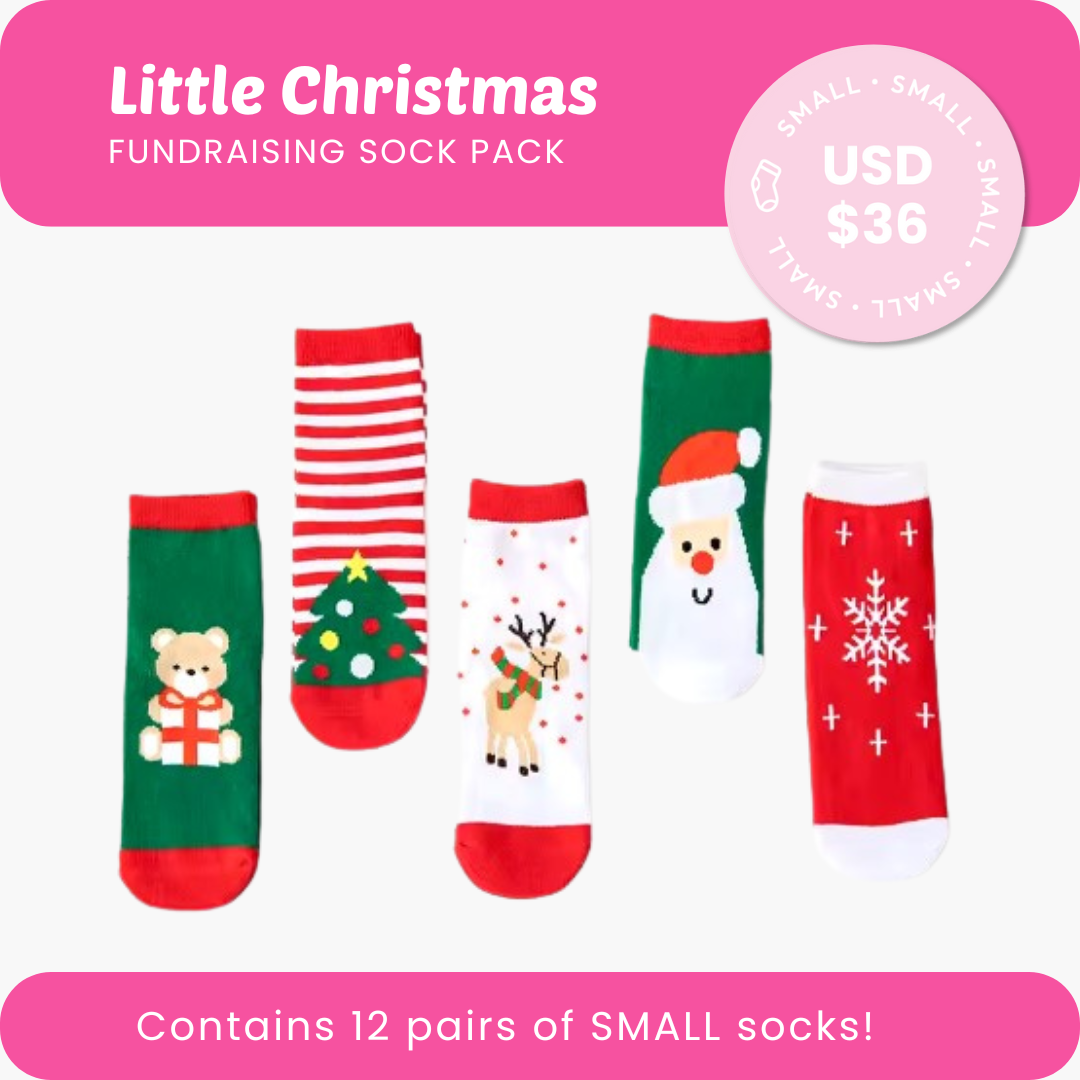 Little Christmas Fundraising Sock Pack