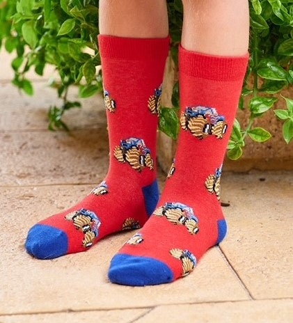 Red monster truck socks on child model