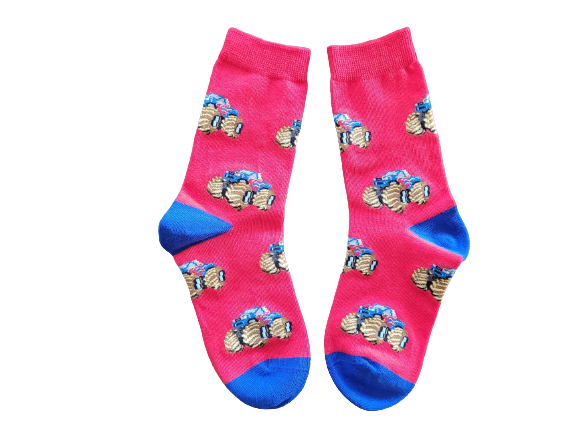Ice Cream Fundraising Sock Pack