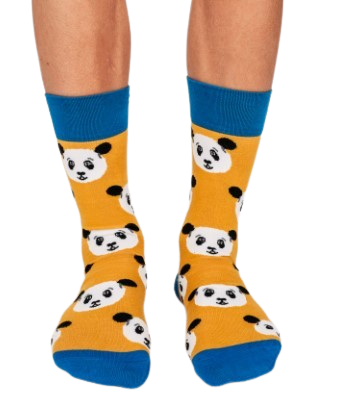Blue and yellow panda bear socks worn by model
