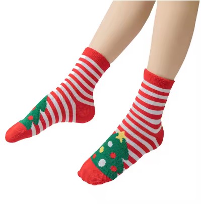 Little Christmas Fundraising Sock Pack