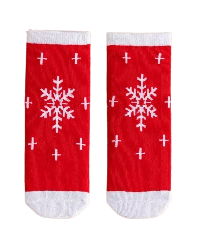 Little Christmas Fundraising Sock Pack