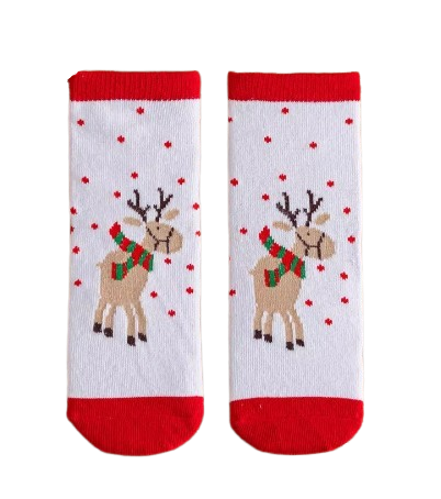Little Christmas Fundraising Sock Pack