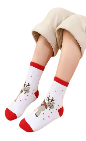 Little Christmas Fundraising Sock Pack