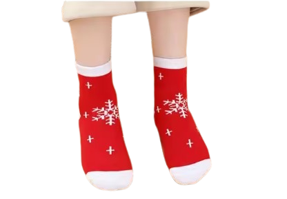 Little Christmas Fundraising Sock Pack