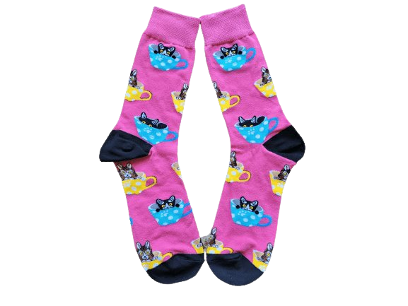 Where's Kitty in Pink Socks