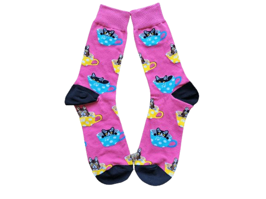Where's Kitty in Pink Socks