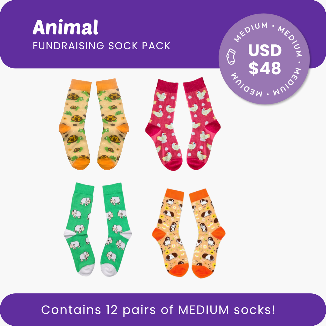 Animal Fundraising Sock Pack