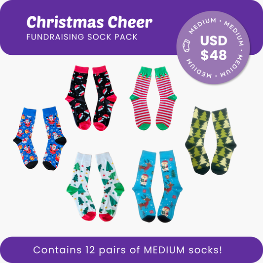 Christmas Cheer Fundraising Sock Pack