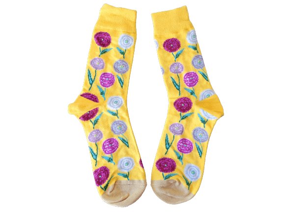 Yellow socks with everlasting daisies