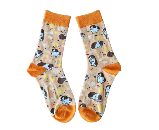 Animal Fundraising Sock Pack