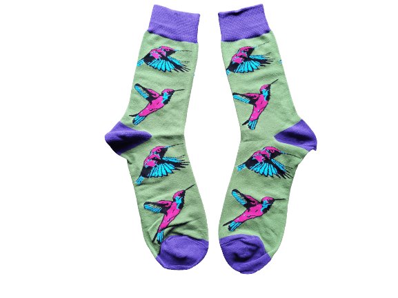 Hummingbird Socks Sockable Fundraising 
