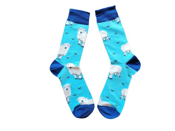 Pair of socks with white fluffy sheep on a blue background