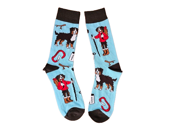 Blue socks with black trim with a St Bernard hiking design