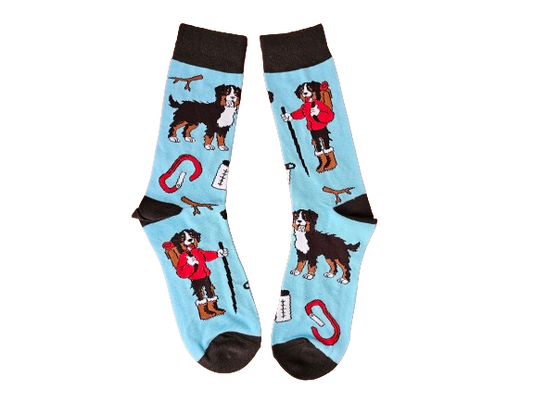 Blue socks with black trim with a St Bernard hiking design