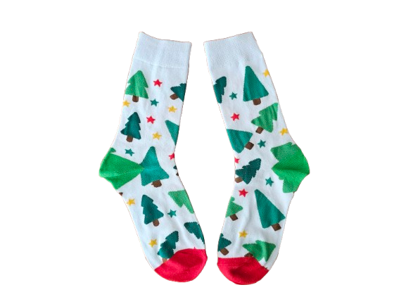 Christmas Cheer Fundraising Sock Pack