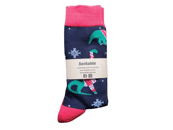 Christmas Dinosaur Socks
